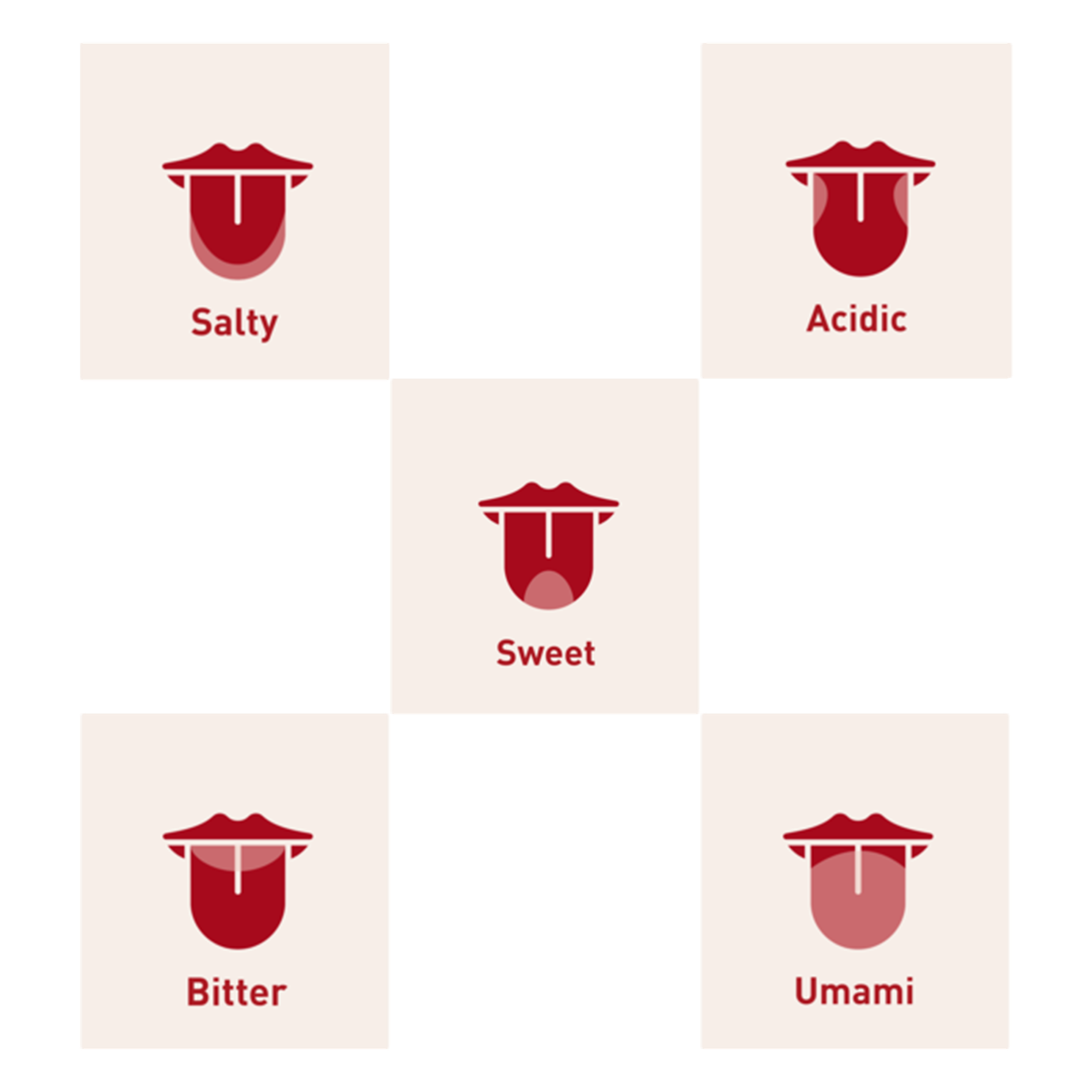 Diagram showing five taste types: Salty, Acidic, Sweet, Bitter, and Umami, each with an icon of a tongue.