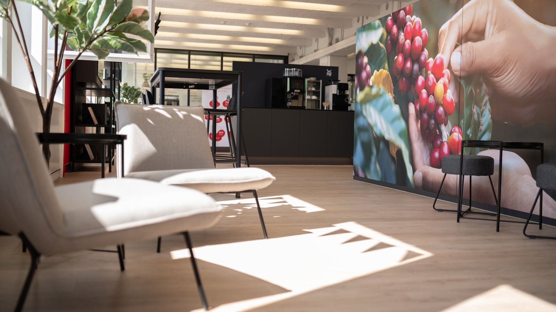 Modern office lounge with light wood flooring, gray chairs, a large mural of hands holding coffee cherries, and a potted plant by the window.
