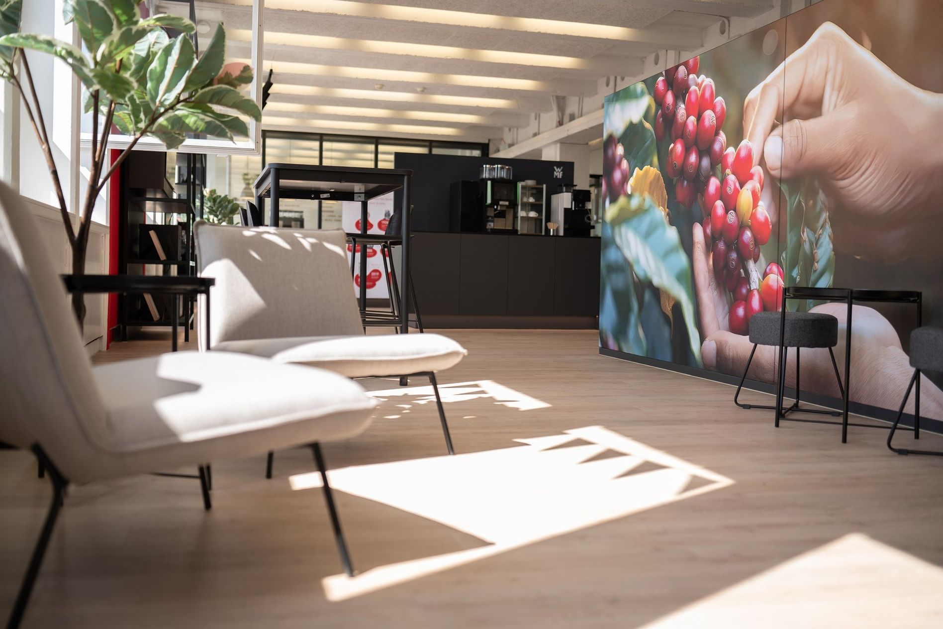 Modern office lounge with light wood flooring, gray chairs, and a large wall mural of hands holding coffee cherries. Bright natural lighting.