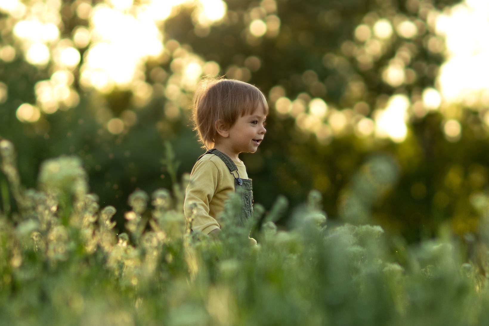 A child in overalls smiles while standing in a sunlit field, surrounded by lush greenery and bokeh.