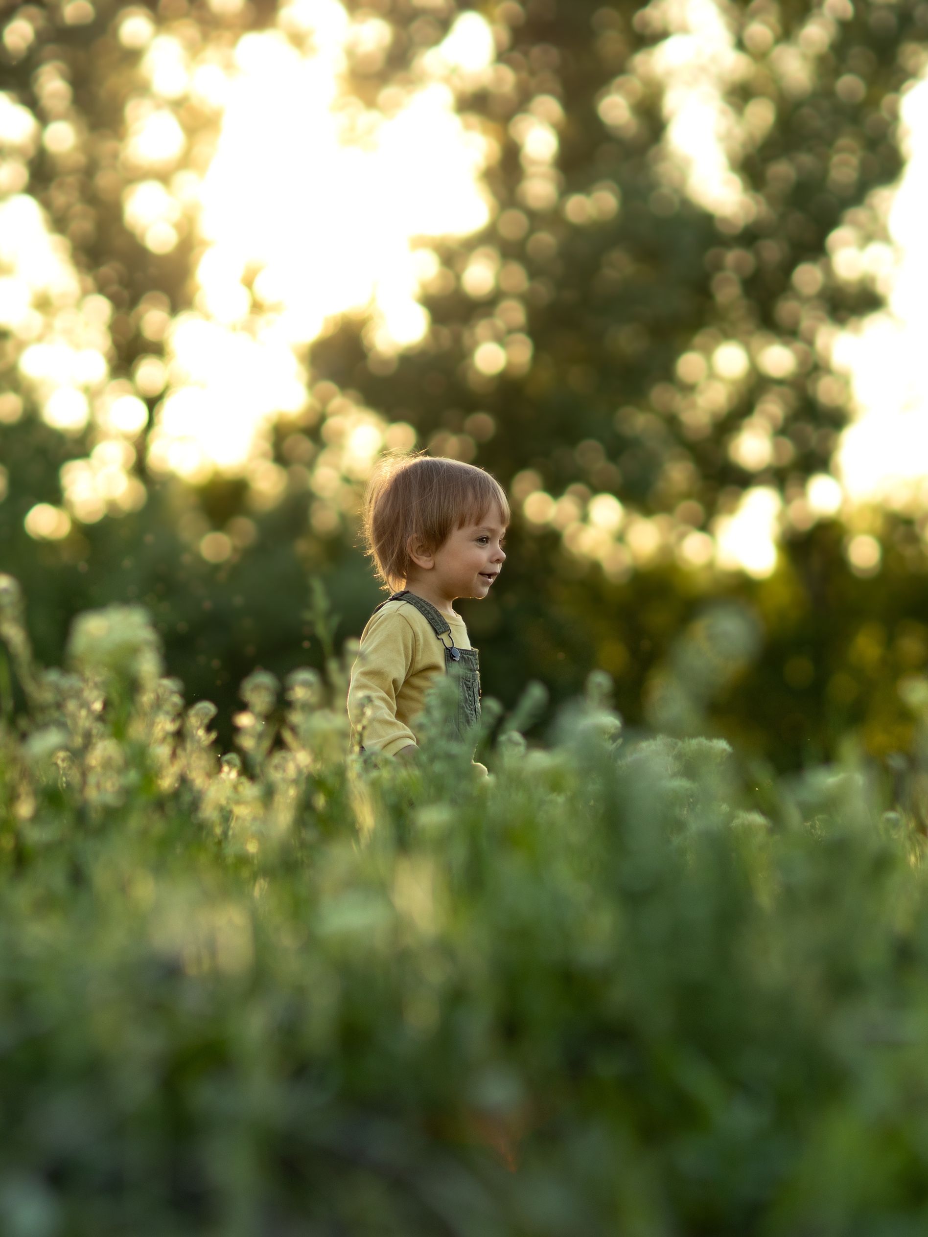 A child in overalls smiles while standing in a sunlit field, surrounded by lush greenery and bokeh.